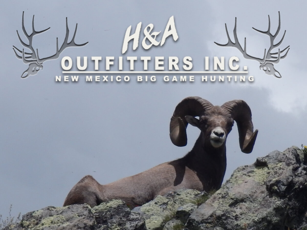 H&A Outfitters